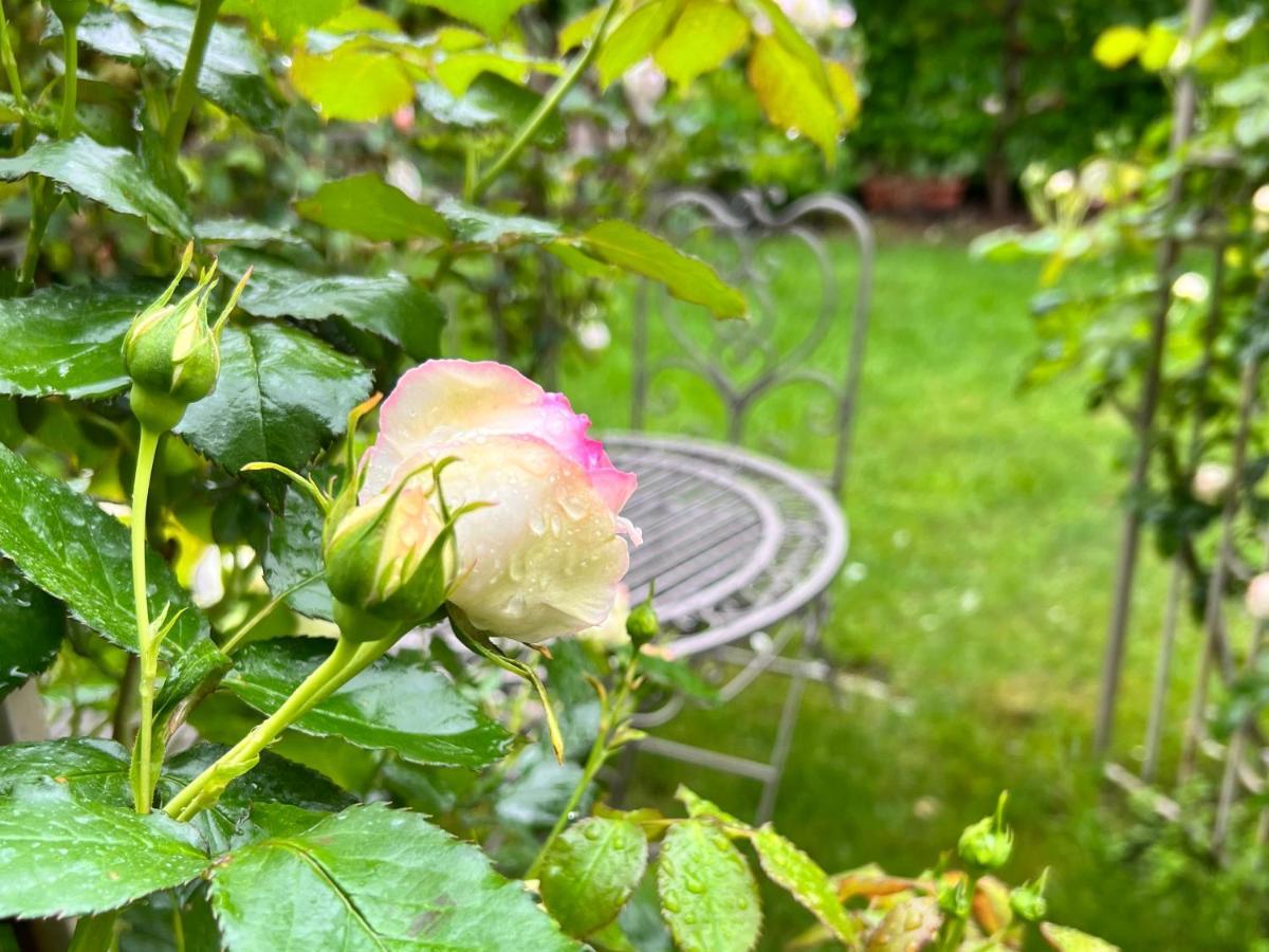 La Finestra Sul Giardino - B&B Cavedine Ngoại thất bức ảnh